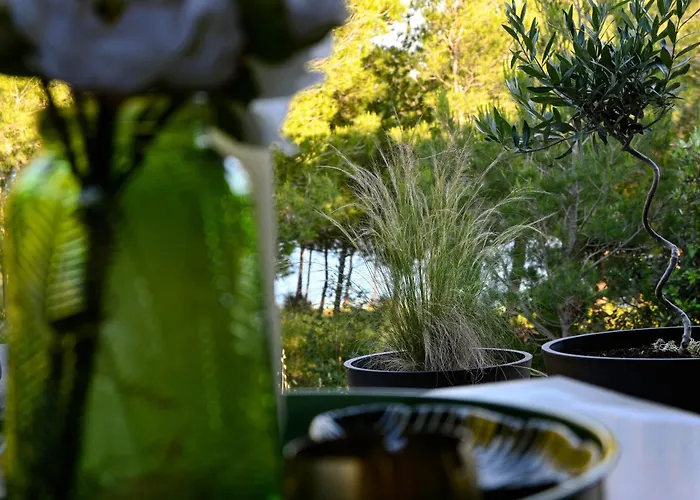 Innova Travelvir - Mobhome Gita Drage